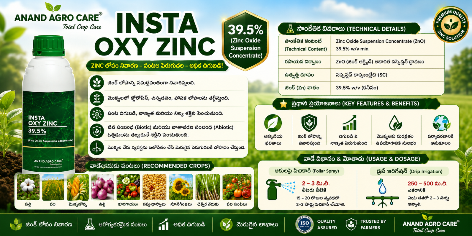Insta Oxy Zinc 39.5% Sc