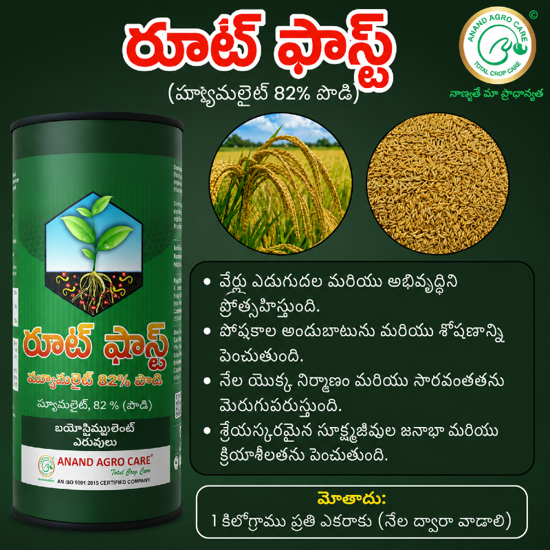 ROOT FAST 82 