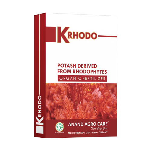 K- Rhodo
